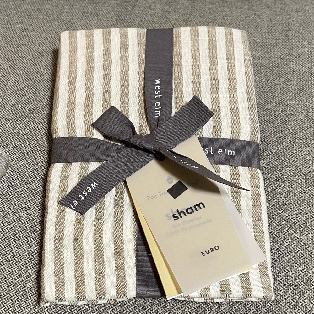 West Elm European Flax Linen Classic Stripe Euro Sham